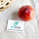 천도한의원 네이버블로그