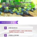 백화산양산삼조합 이미지
