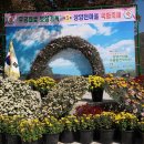충도3리(상양) Daum카페