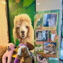 와우(양산점) 이미지