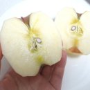 둥이네 농장 이미지