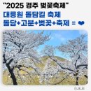 돌담길 | 2025 경주 대릉원 돌담길 벚꽃축제 후기