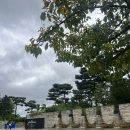 신한코리아 | [리뷰]신한 동해오픈 VIP 초대 후기, 송도 잭니클라우스 골프클럽코리아🏌🏻‍♀️