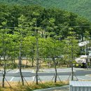 송정솔바람해변 주차장 이미지