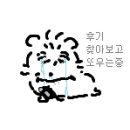 버블냥 이미지