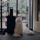 원앤원 스포츠 과학 운동센터 이미지