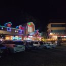 숲속통나무 이미지