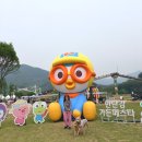 가든전기조명 | 포천 한탄강 가든페스타 후기 애견동반 가능 출렁다리 야간개장 전기자전거 총정리