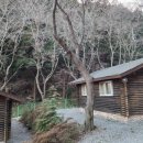 통나무펜션&편백쉼터 이미지