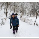 한일맛집 이미지