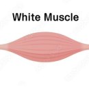 PT특별관 이미지