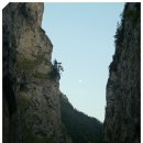 트리민박 이미지