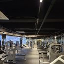 박여사전집 이미지