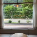 쉘리케이크