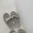 제주사랑터울 이미지