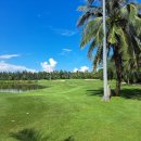 루비트리 이미지