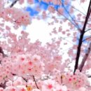 오르다정형외과의원 이미지