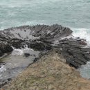 양남주상절리 이미지