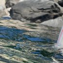 학포마을회관 이미지