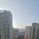 현대114공인중개사사무소 이미지