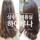 하이루나 | 상수역미용실 염색맛집 하이루나 톤다운 염색 만족후기