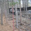 보룡농장 이미지