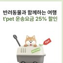 도당애견 이미지