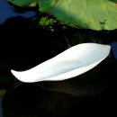 들꽃산장 이미지