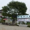 양지할머니 이미지