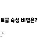 지혜토굴새우젓
