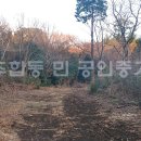 스프링데일 리조트 인근 이미지