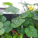 매일농장 이미지