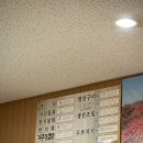 신도리 | 제주도 해안도로 드라이브 중 발견한 신도리어촌계, 여긴 찐이다