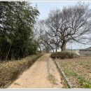 망운전통시장 이미지