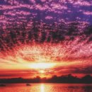 새벽노을 이미지