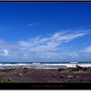 호키티카 해변[The Coast of Hokitika] 이미지