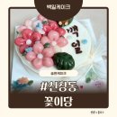 신창로35번길 | 🎂 우리 아기 첫 백일 케이크 리뷰 🌸👶🏻✨ / 송편케이크/ 신창동 꽃이당/광주 떡케이크/