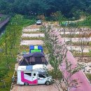태화연 오토야영장 이미지