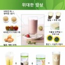 영양핑다이어트