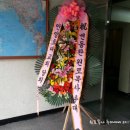 신대원약국 이미지