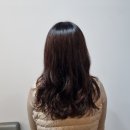 지투헤어샵 | 머리 잘 하는 발산헤어샵 빌트헤어살롱 셋팅펌 후기