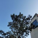 무곡마을회관 이미지