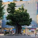 시흥동 역사문화길 이미지