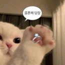봄날프로젝트 | 광주 웨딩플래너 비교 웨딩박람회, 더블루, 웨딩봄날 상담 및 계약 후기