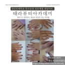 태라헤어아트