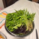 힐링여행 | [강화도 카라반] 민머루잼머, 쌈장과 마시멜로에 담긴 완변했던 가족힐링여행 후기