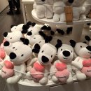 더 프레젠트 이미지