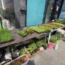 하늘농약사 이미지