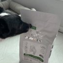 피피도그 | 반려견 사료 바꾸기 고민된다면? 네이쳐스프로텍션 화이트도그 인섹트 리뷰💚