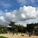 하얀쪽배 이미지